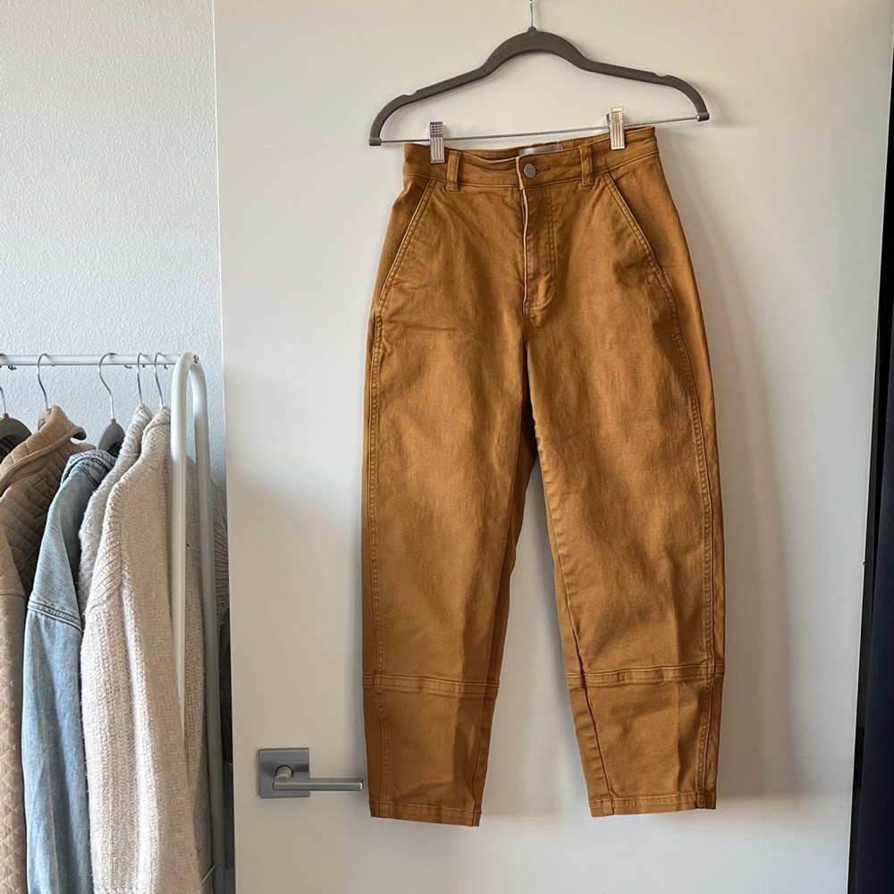 Everlane The Utility Barrel Pant